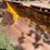 #1147-•-front-loader-bucket-attachment-image-11