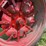 farmall-f-30-image-25