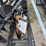 1--wolverine,-gb-11-72w,-skid-steer-auger.-comes-image-1