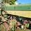john-deere-630-image-32