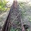 #1330-•-steel-bar-joists-image-2