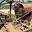 farmall-f-20-image-36