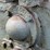 farmall-regular-image-46