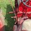 farmall-f-14-image-43