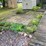 #3308-•-2026-campsite-lease-at-three-lakes-campground-(three-lakes,-wi)-image-15