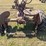 farmall-b-image-7