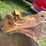 #1138-•-4-tooth-backhoe-bucket-image-13