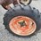 new-idea-402-image-15