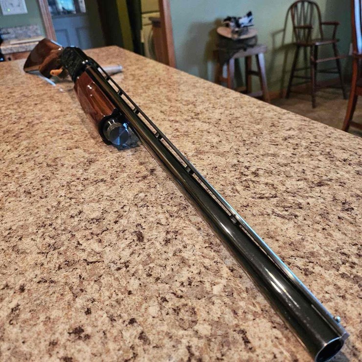 Browning Pump 20 Gauge