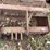 #1298-•-gannon-box-scraper-attachment-image-13