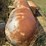 (1)-propane-tank---18-ft-image-7