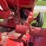 farmall-w-9-image-48
