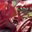 mccormick-deering-wd-6-image-52
