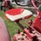 mccormick-deering-wd-6-image-76