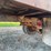 international-loadstar-image-43