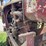 farmall-f-20-image-48