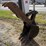 2022-bobcat-e50-image-34