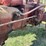 farmall-h-image-38