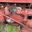 farmall-a-image-46