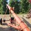 new-idea-4-image-24