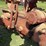 farmall-h-image-26