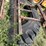 #1296-•-tire-yard-scraper-attachment-image-6