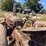 massey-harris-444-image-12