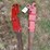 fast-hitch-adapters-image-2