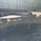 #3028-•-2020-bb-24k-tandem-axle-equipment-trailer-(has-wi-title)-(waukesha,-wi)-image-1