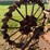 farmall-f-12-image-20