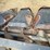 new-idea-6514-image-10