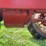 farmall-f-30-image-73