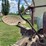 farmall-f-20-image-33