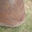 2-fenders-image-6