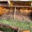 #1146-•-front-loader-bucket-attachment-image-2