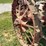 farmall-f-12-image-12