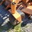 scag-cheetah-zero-turn-lawn-mower-image-11