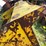 #1147-•-front-loader-bucket-attachment-image-14