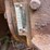 international-cub-image-17
