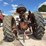 farmall-m-image-5