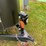 #3304-•-2016-cherokee-limited-274vfk-camper-(has-wi-title)-(three-lakes,-wi)-image-67