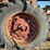 farmall-806-image-32
