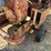 transfer-pump-image-11