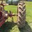 farmall-f-12-image-18