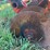 glencoe-soil-saver-image-19