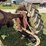 farmall-f-20-image-20
