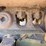 1996-caterpillar-d3c-xl-image-25
