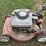 2-lawn-mowers-image-5