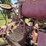 farmall-f-20-image-36