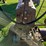 john-deere-60-image-22
